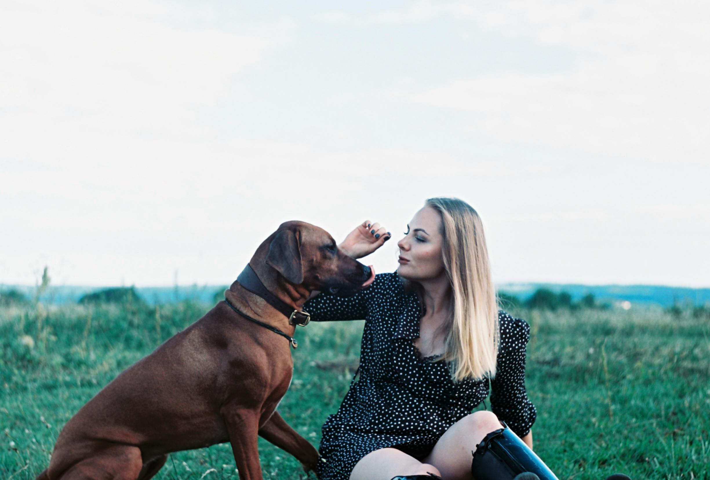 Der Hund, der immer gegen die Leine zog — und mir gezeigt hat, dass ich selbst nicht wusste, wohin ich wollte