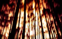 Brown and Black Light Digital Wallpaper