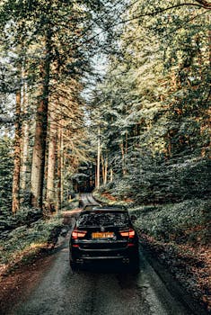 A sleek black luxury automobile travels on a forest road surrounded by tall trees.