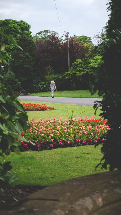 Free Person walking through a vibrant garden filled with flowers and greenery on a sunny day. Stock Photo