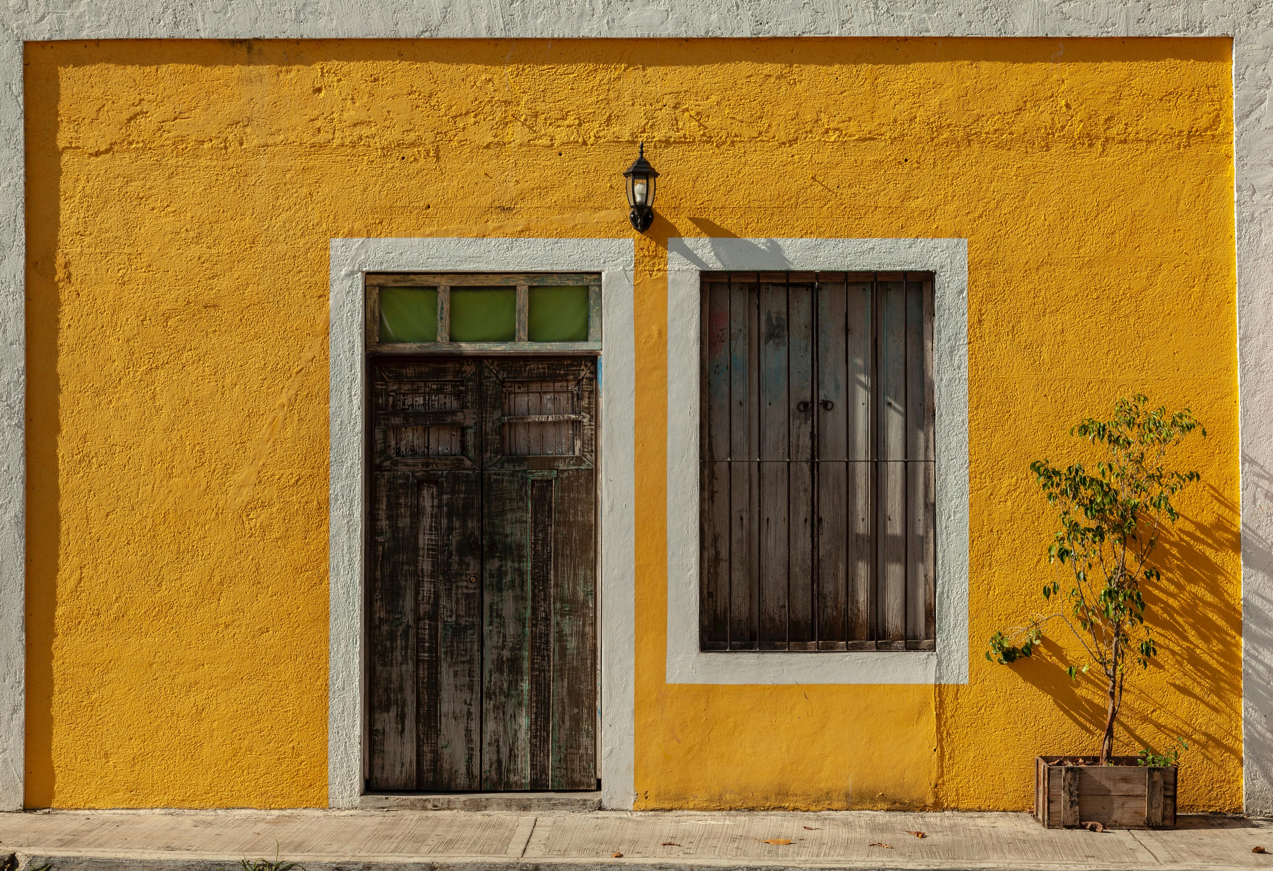 A vibrant yellow house facade with a rustic wooden door and a potted plant in Mexico.