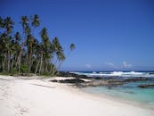 在晴朗的蓝天下，田园诗般的海滩景观中，棕榈树、白沙和蔚蓝的海浪相映成趣