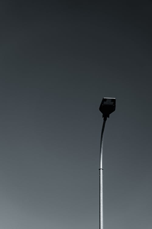 Grayscale Photo of a Street Light