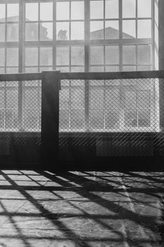Black and white image of a sunlit boxing ring inside a gym with dramatic shadows and chain link fencing.