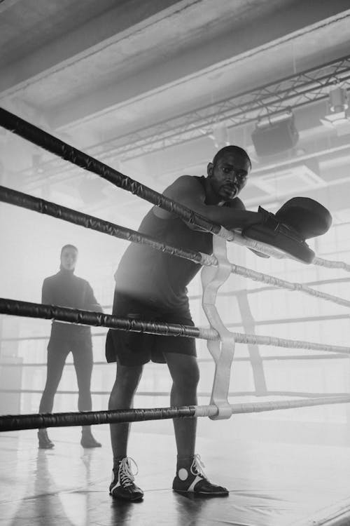 Základová fotografie zdarma na téma bojovník, boxová posilovna, boxovací ring