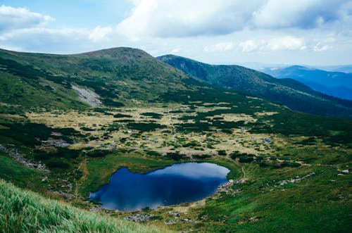 Immagine gratuita di carpatico, colline, erba