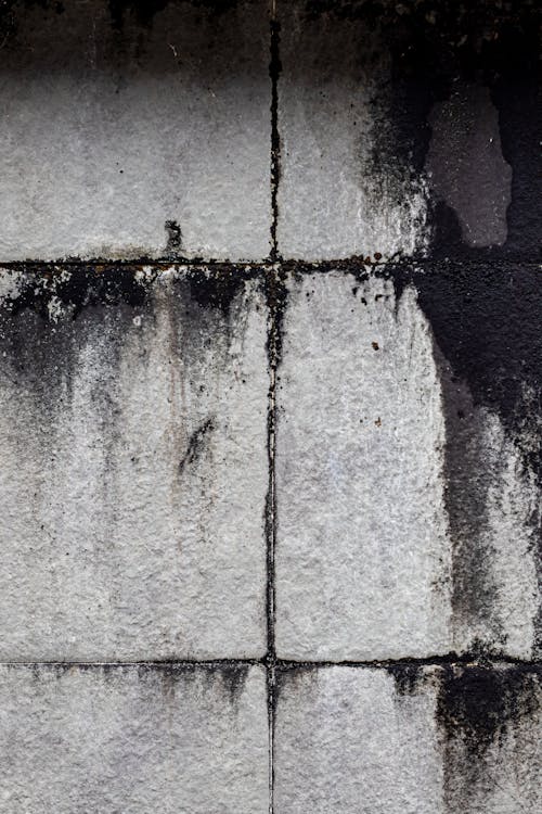 Free Wet Grey Concrete Wall  Stock Photo