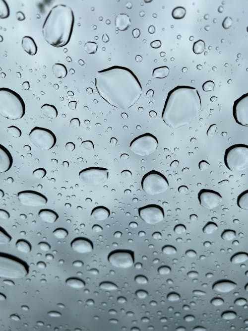 Foto profissional grátis de fechar-se, gotas de chuva, gotículas de água