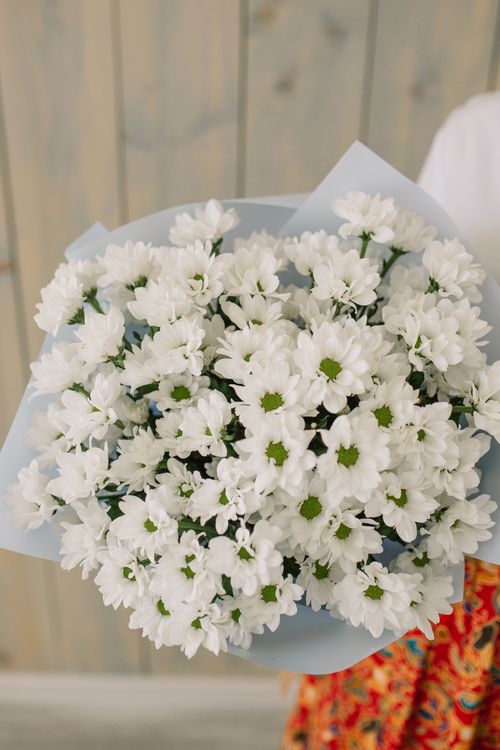 Free A stunning bouquet of white flowers wrapped in soft blue paper, ideal for weddings. Stock Photo