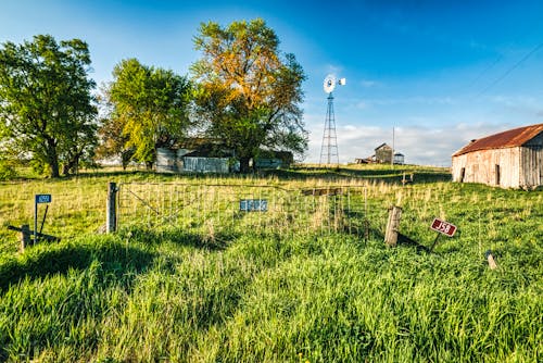 View of a Grass Field with Trees