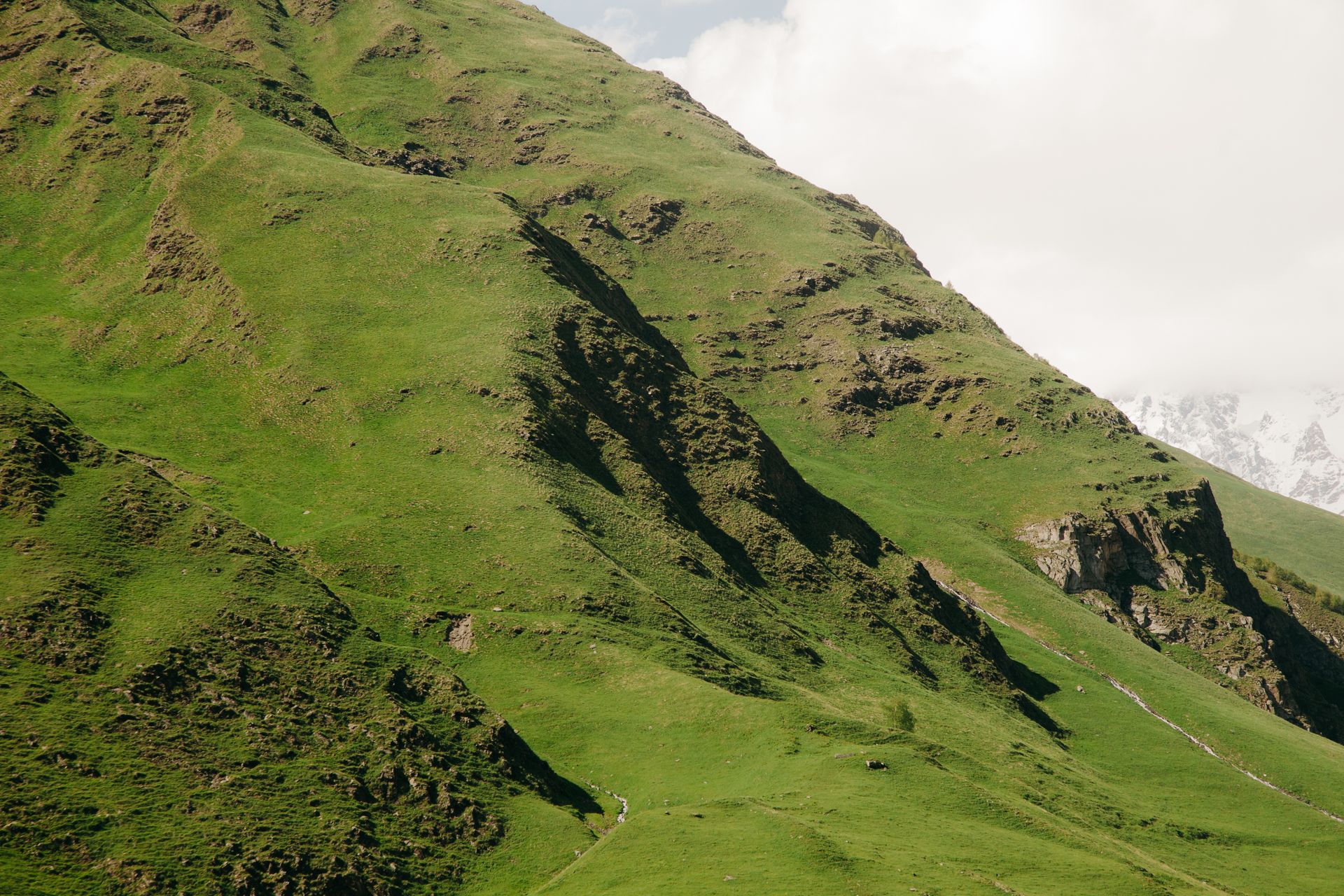 Lush green hillside landscape under a clear sky, perfect for nature enthusiasts and outdoor adventures.