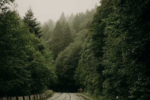 Rainy Season in Kashmir