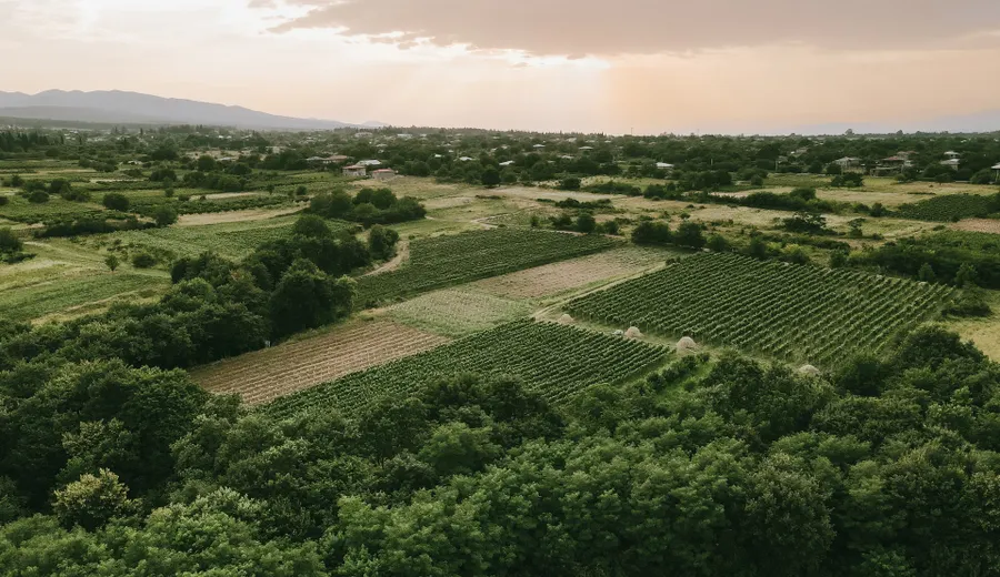 Kakhétie (vignobles)