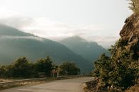 Green Trees on Mountain
