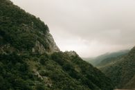 Green Trees on Mountain Under White Sky