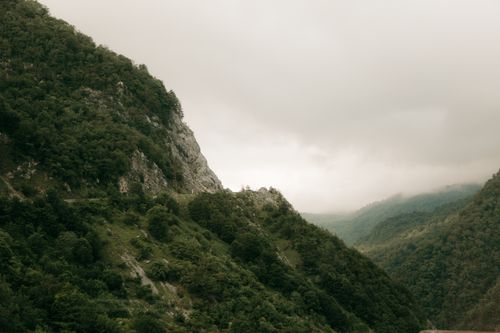Free Foggy mountain landscape with lush green trees and misty ambiance. Stock Photo