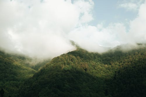 Green Mountains with Thick White Clouds