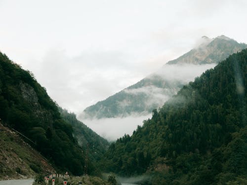бесплатная Бесплатное стоковое фото с горы, деревья, долина Стоковое фото