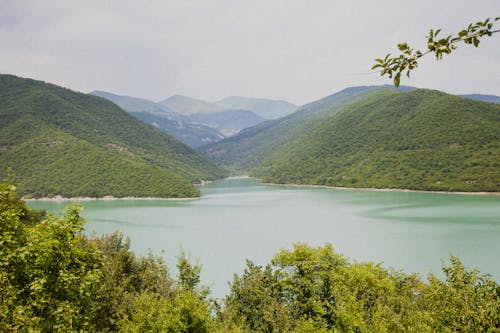 Бесплатное стоковое фото с водохранилище, горы, живописный