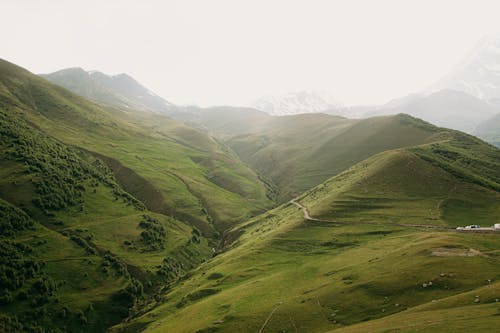 Green Hills in Mountain Landscape