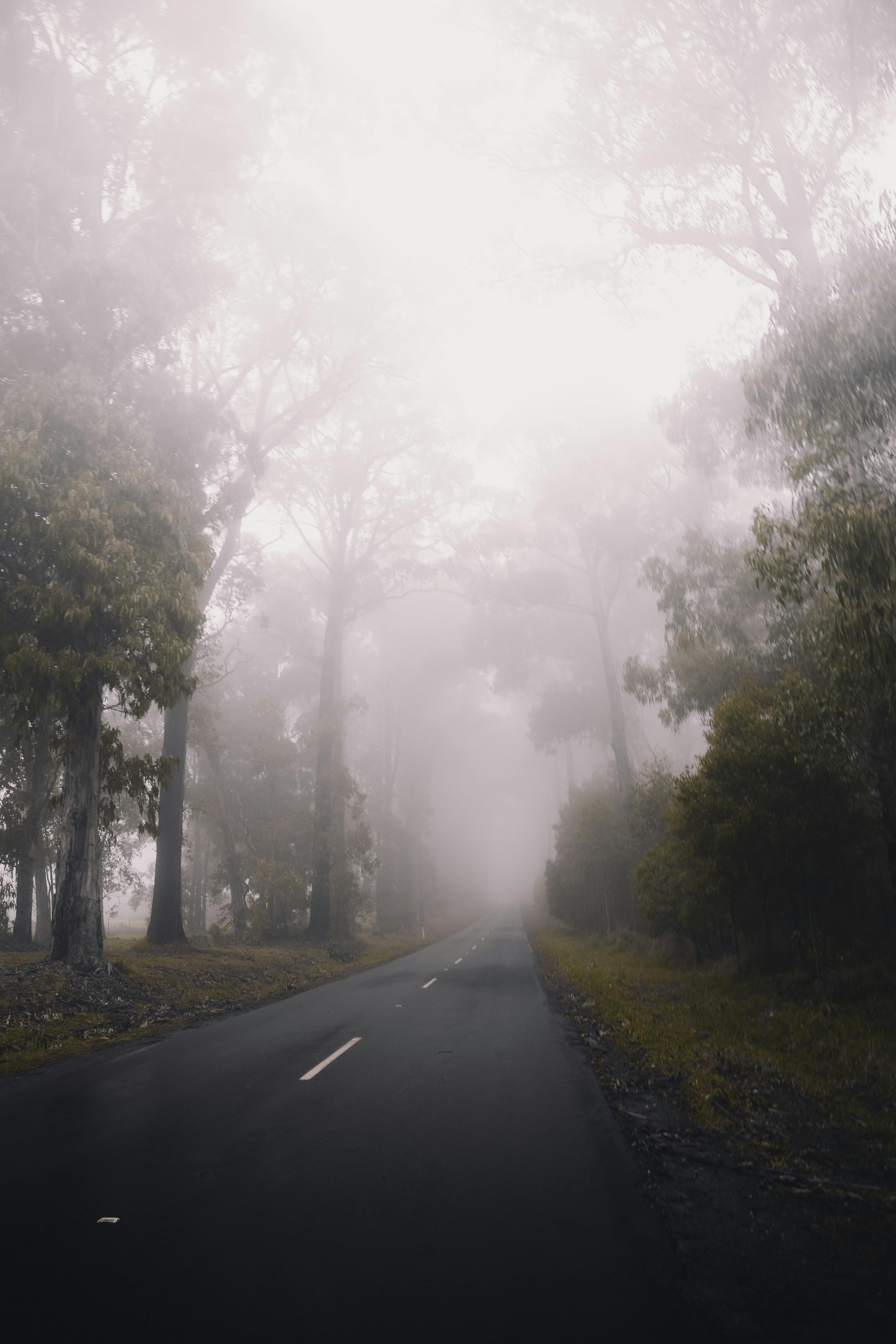 Gray Concrete Road Under Gray Sky · Free Stock Photo