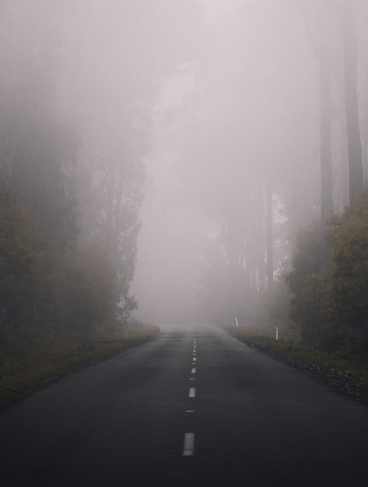 A Foggy Road 