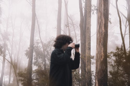 Gratis stockfoto met bomen, Boomstammen, Bos