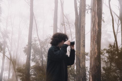 Free A photographer captures the foggy beauty of Kinglake forest, Australia. Stock Photo