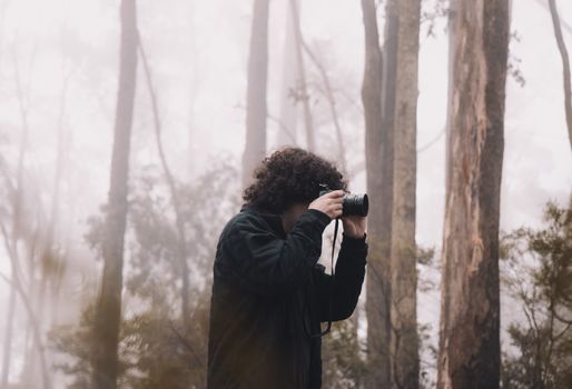 A photographer with curly hair captures nature in a foggy forest setting, creating a mysterious ambiance.