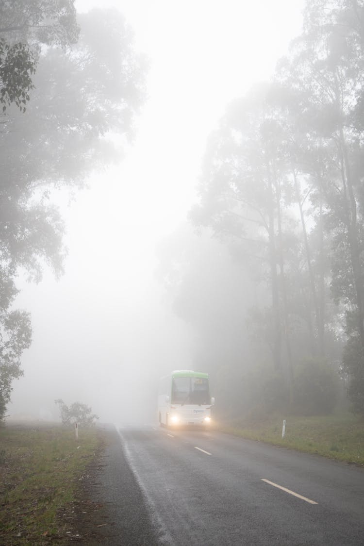 A Buss On Foggy Road