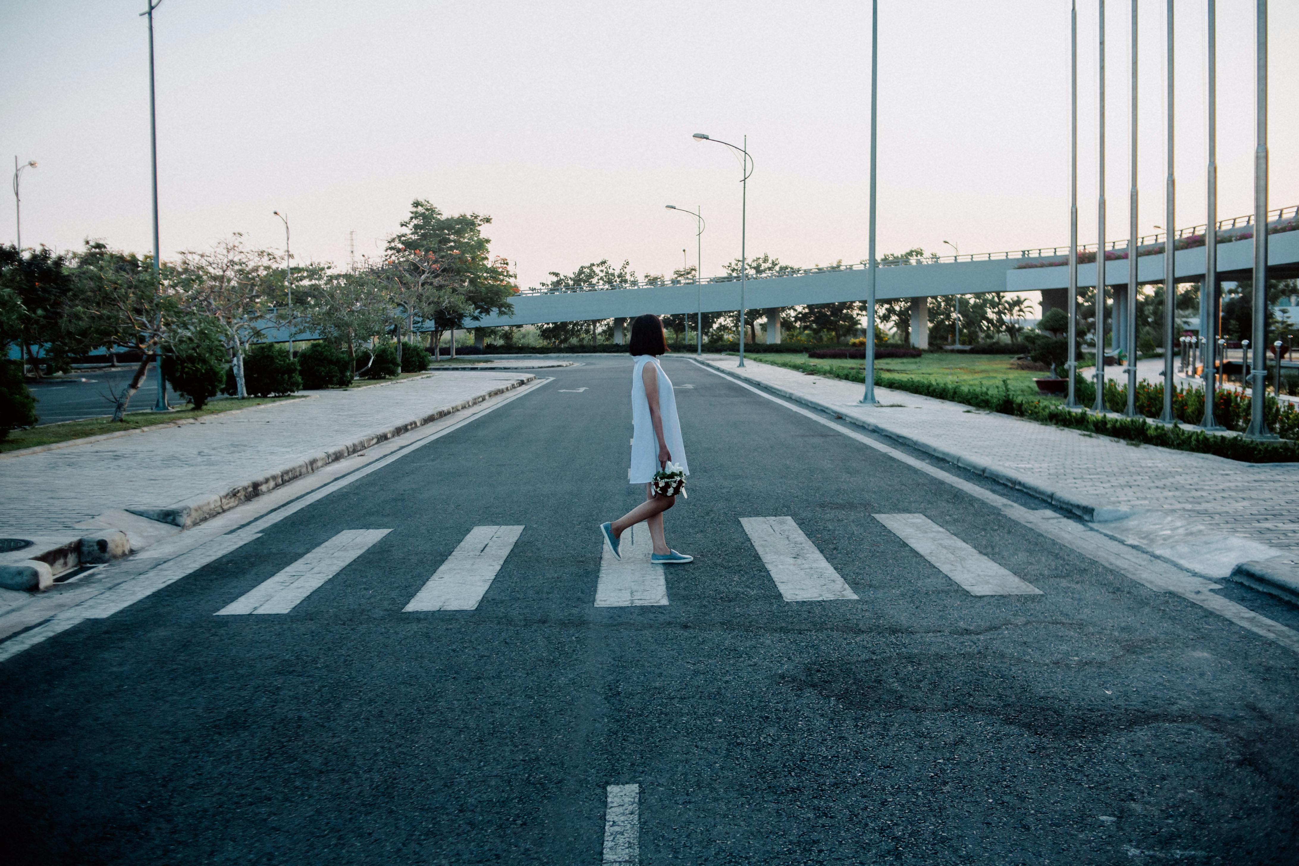 63 Free CC0 Zebra crossing Stock Photos 