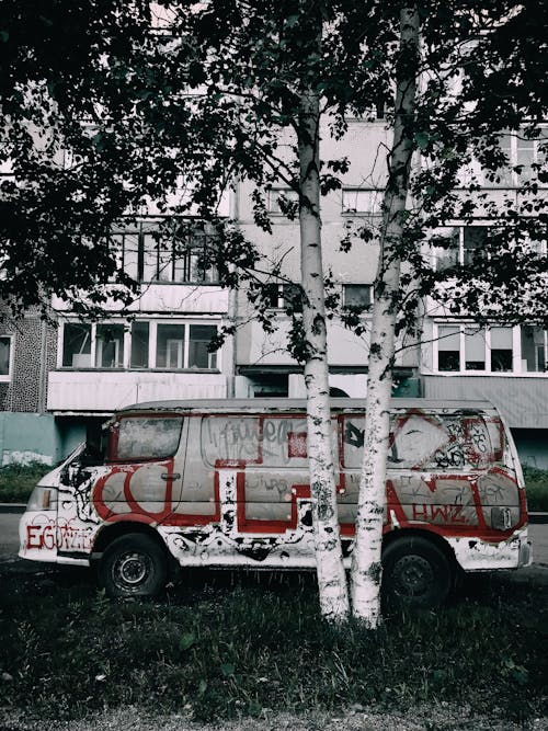 Kostenloses Stock Foto zu baumstämme, fahrzeug, geparkt