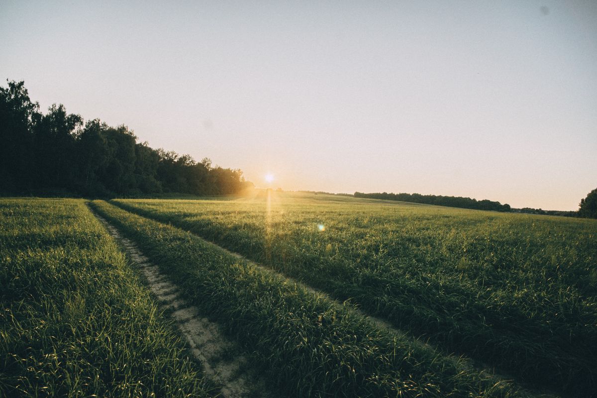 Green field at sunrise, first light over a rural path