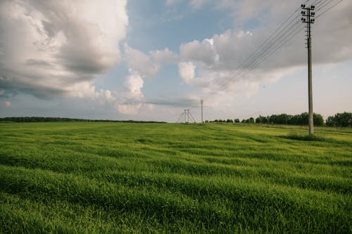 Gratis stockfoto met bewolkte lucht, elektriciteitspalen, grasland