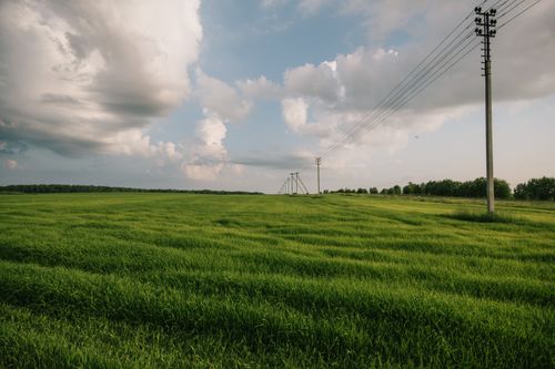 Free Vast green field with utility poles under a cloudy sky, offering abundant natural scenery. Stock Photo