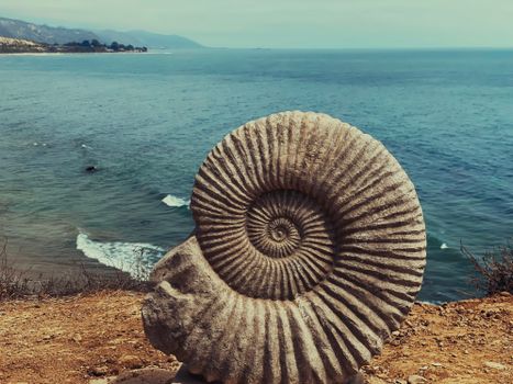Spiral Shape Of A Fossil Ammonite Shell on Brown Sand Near Body of Water