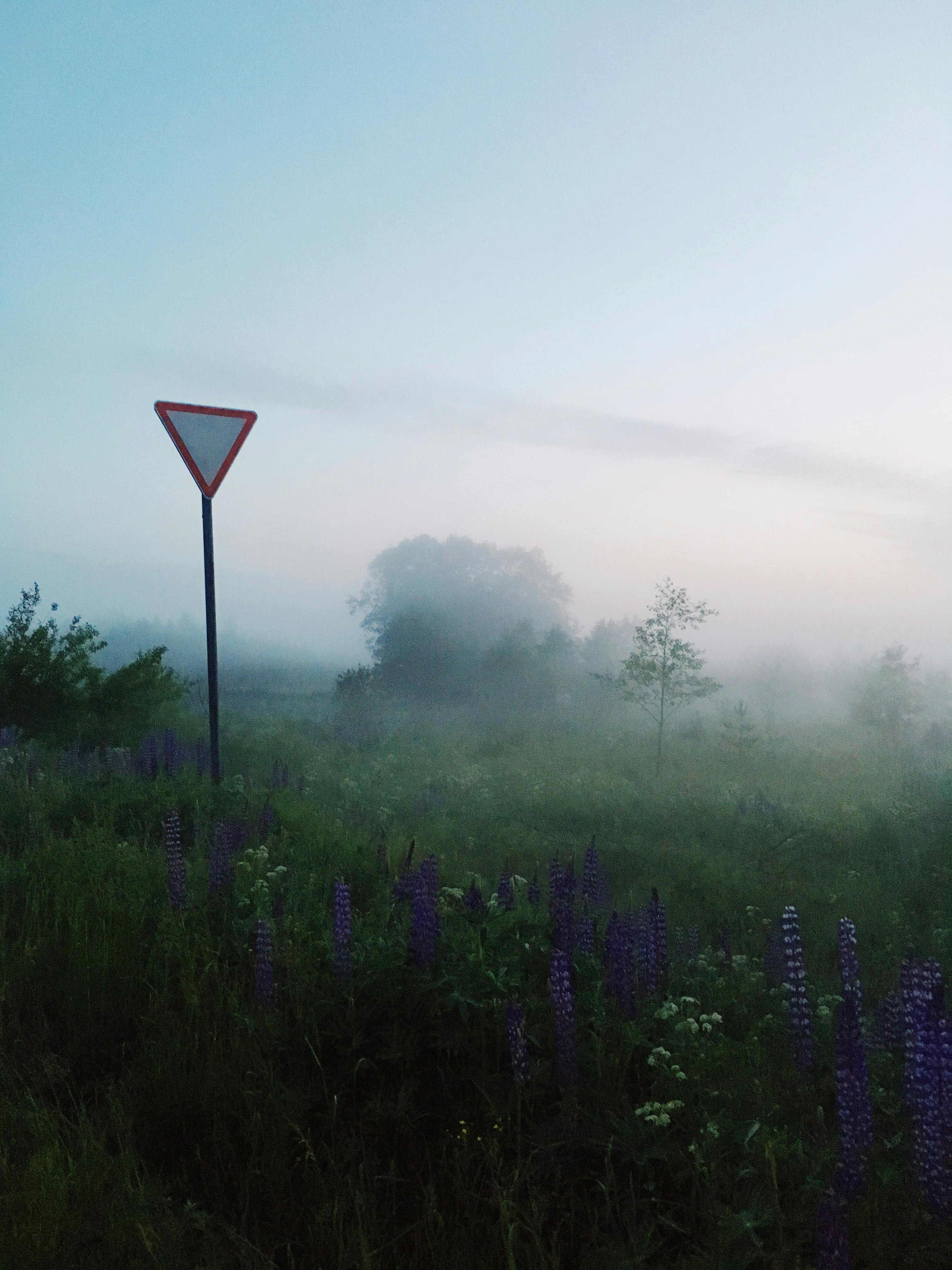 Macau Day: Best Places & Bites - Travel Itinerary