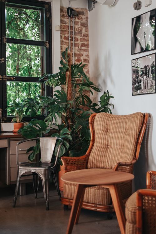 Free Warm interior featuring a wicker armchair, wooden table, and lush green plants by a window. Stock Photo