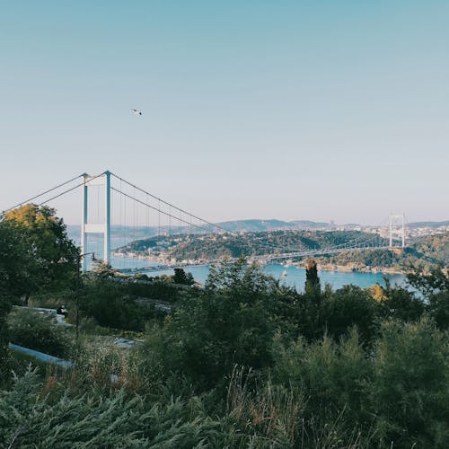 7 月 15 日殉教者橋, イスタンブール, インフラの無料の写真素材