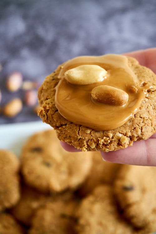 Free Close Up Photo of Peanut Butter Cookie Stock Photo