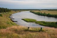 Wooden Bench on Grass Near the Lake