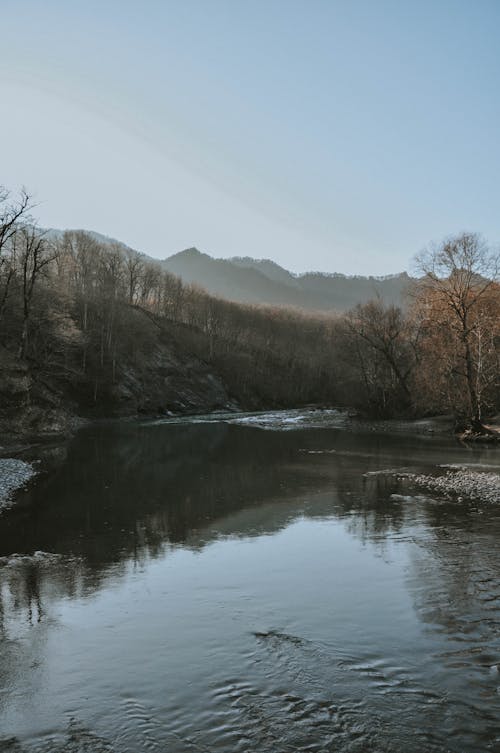 Fotobanka s bezplatnými fotkami na tému bezlistý, fotografia prírody, holé stromy