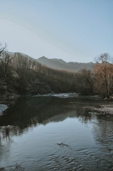 Peaceful river surrounded by bare winter trees and distant mountains in soft light.