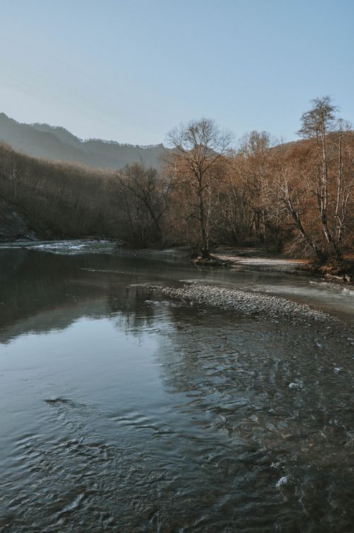 Free Serene winter landscape with a foggy river bend in Adygea, Russia. Bare trees and a misty ambiance. Stock Photo