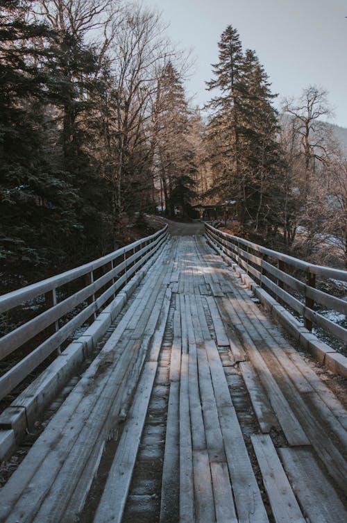 Základová fotografie zdarma na téma dřevěný most, pokyny, příroda