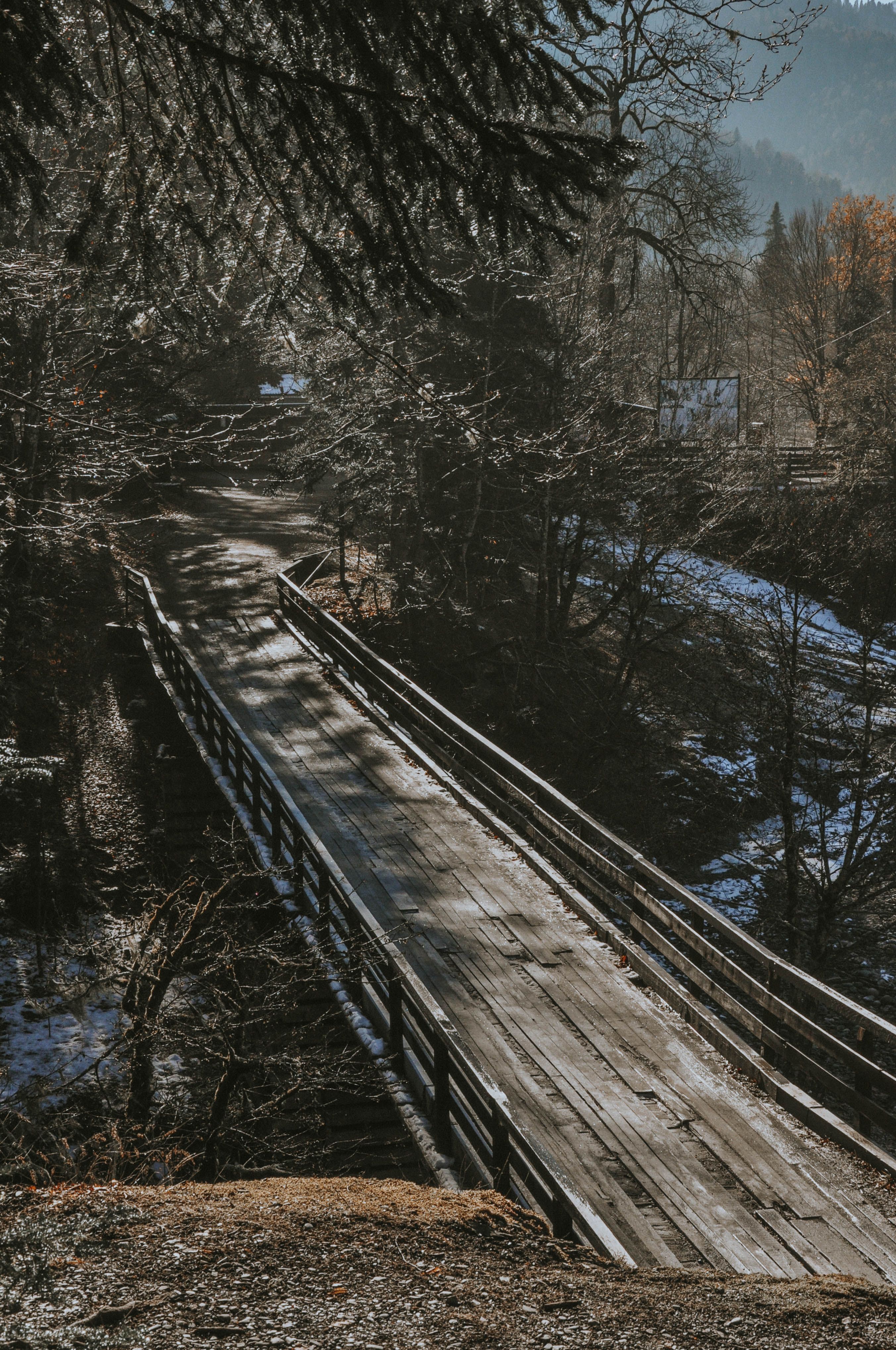Rustic Wooden Bridge in Autumn Forest Setting · Free Stock Photo