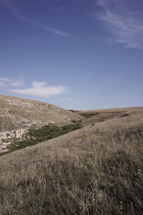 Immagine gratuita di campagna, campo, cielo azzurro