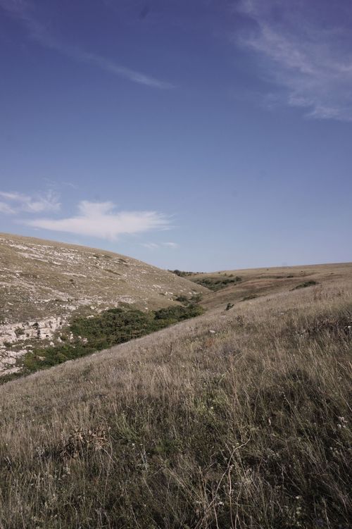 Free Tranquil rural landscape with grassy hills and a blue sky, perfect for nature enthusiasts. Stock Photo