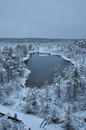 Drone Shot of Viru Bog in Lahemaa National Park