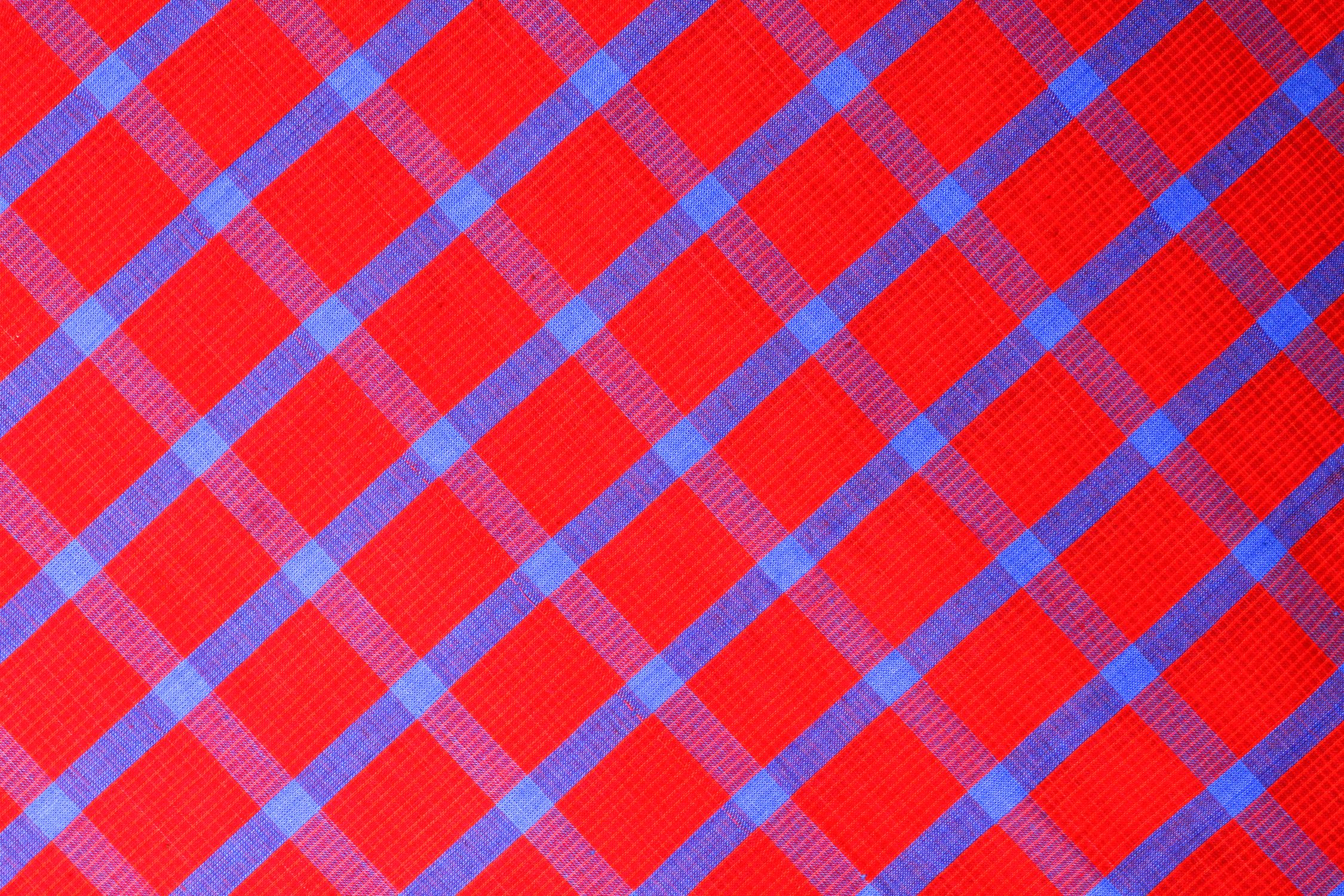 Close-up of Blue and Red Checkered Fabric ยท Free Stock Photo